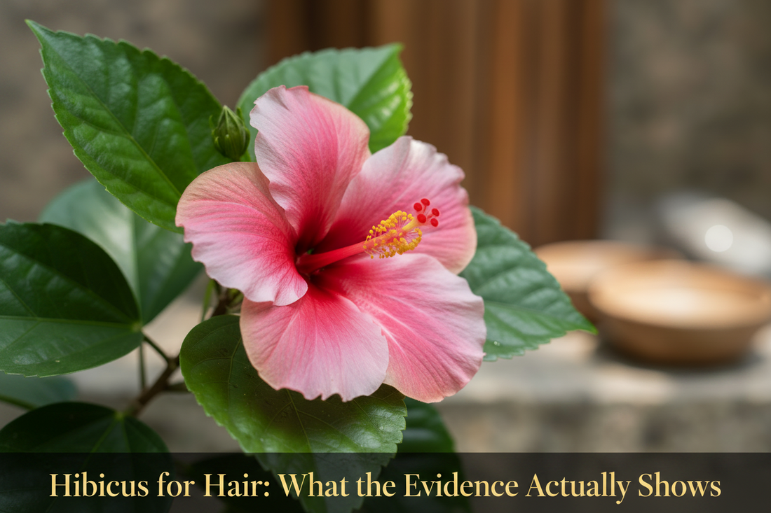 Hibiscus for Hair: What the Evidence Actually Shows