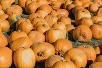 Pumpkin Seed Oil